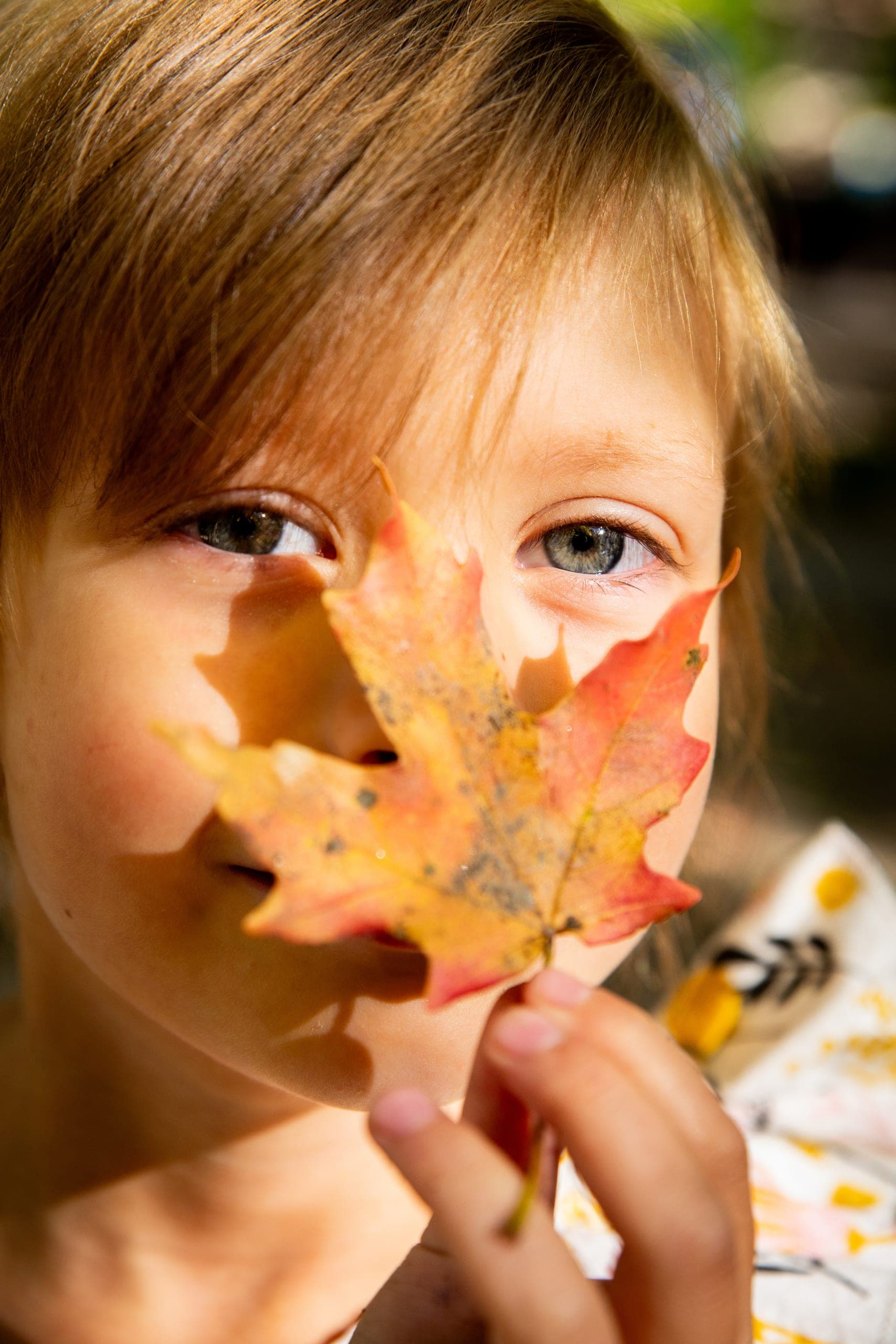 Child holding up an orange maple leaf